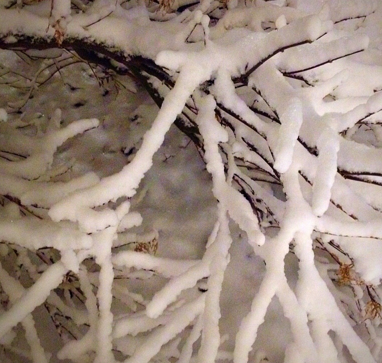 The Occasional Eccentric Random Week in Review: Saturday 13 February 2021