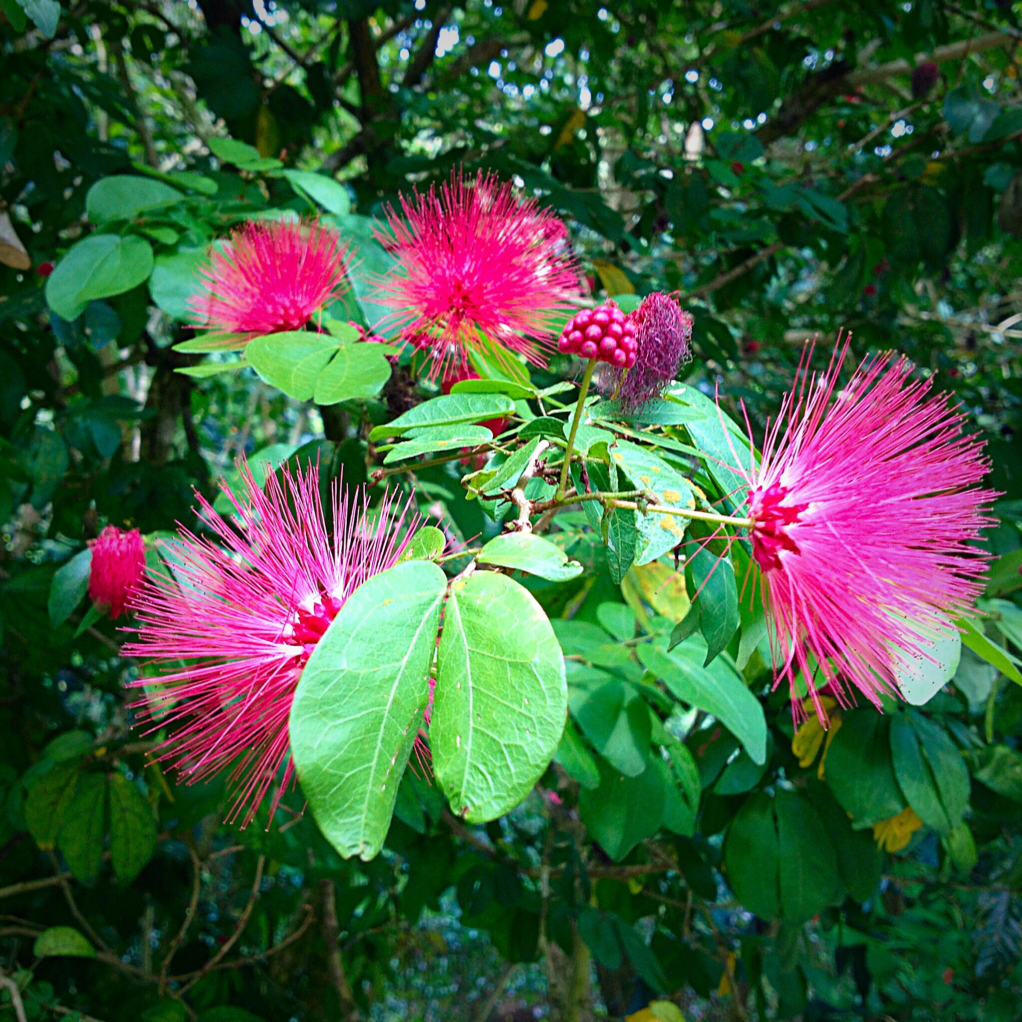 Decade in Review: November 16, 2013. The Photos I Took. The Photos I Didn’t.