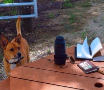 Guest Post by A: Homage to Kansas