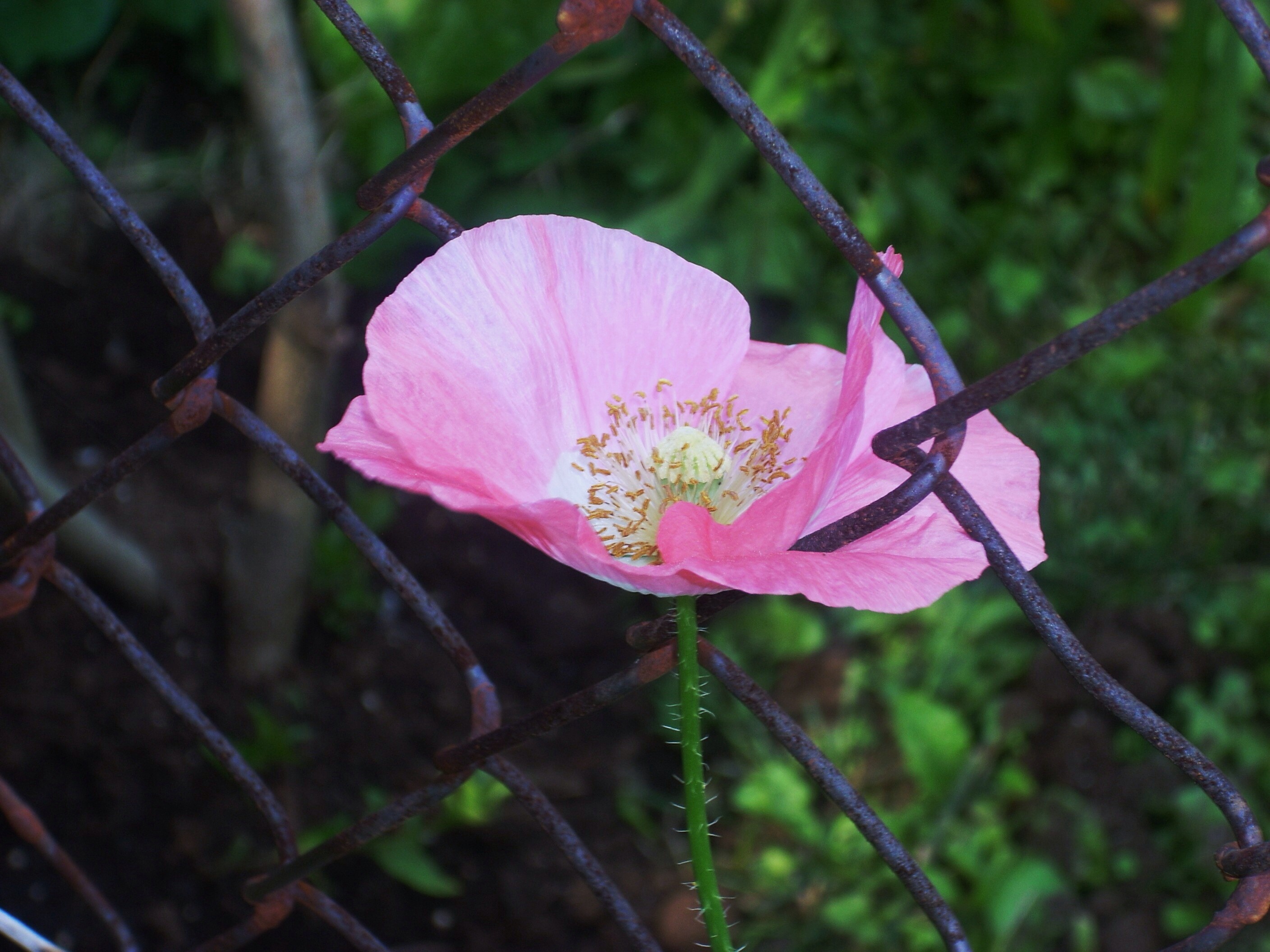 The Glass Stays Where it Lays