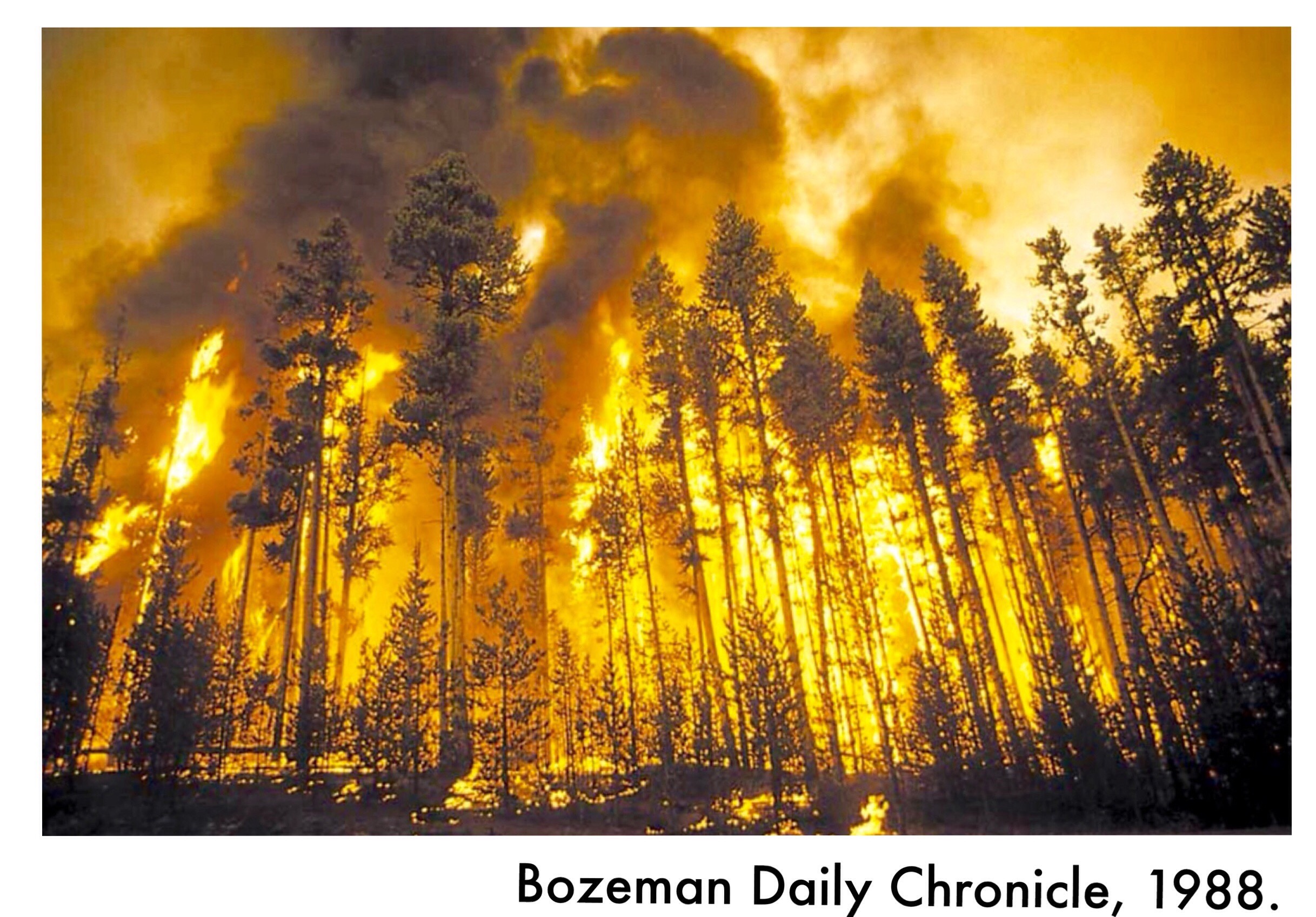 Ten Things About the Yellowstone National Park Fires of 1988