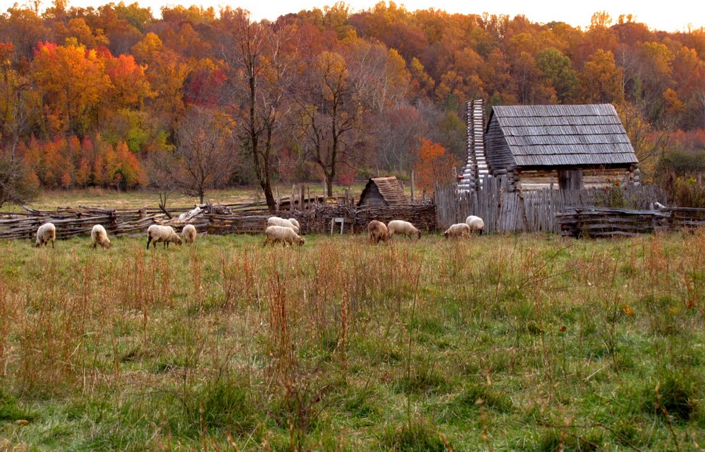 What the First Thanksgiving Dinner Actually Looked Like