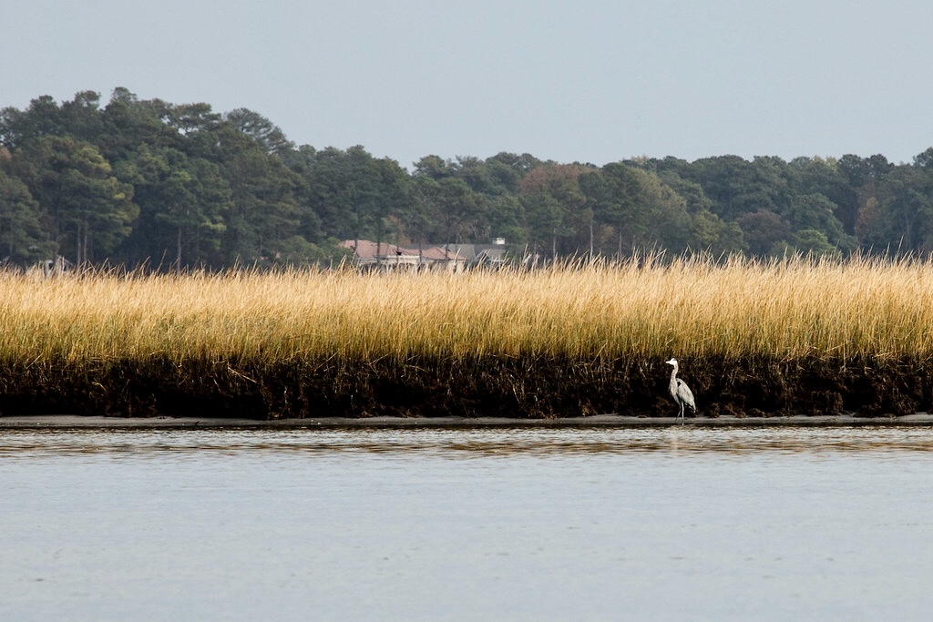 Sometimes Things are Like That