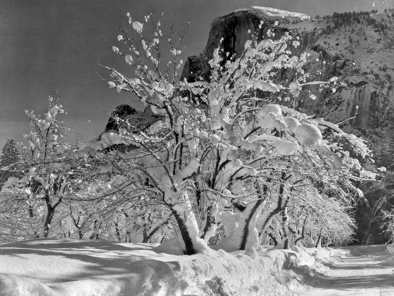 The Surprising Source of Ansel Adams’ Signature Style