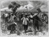 Making sugar, making ‘coolies’: Chinese laborers toiled alongside Black workers on 19th-century Louisiana plantations