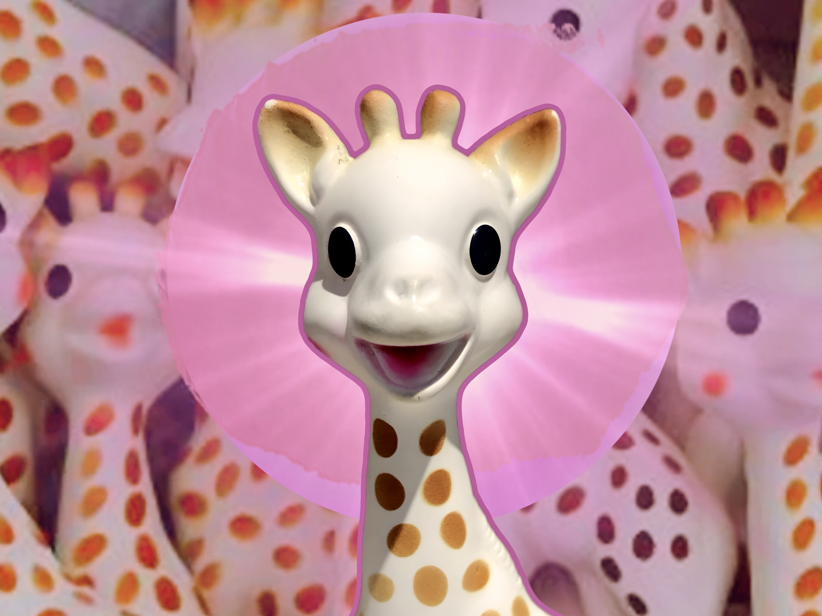 Seven Things about Sophie the Giraffe