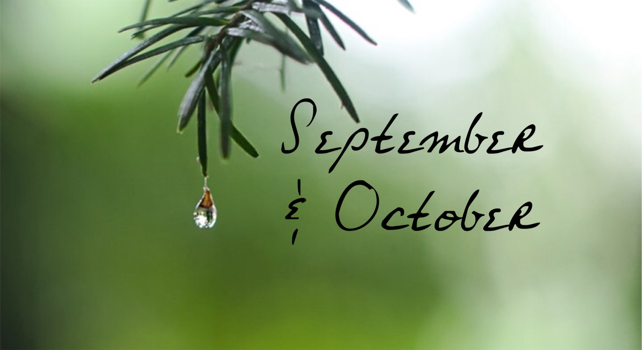 Free Printable: Blank Planner Pages for 16 September through 3 October